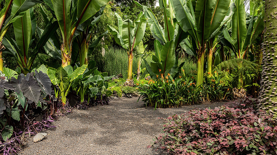 Hautan - Jardines botánicos espacios destinados a cultivar y preservar colecciones vegetales